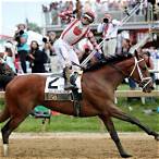 what horse to bet on preakness